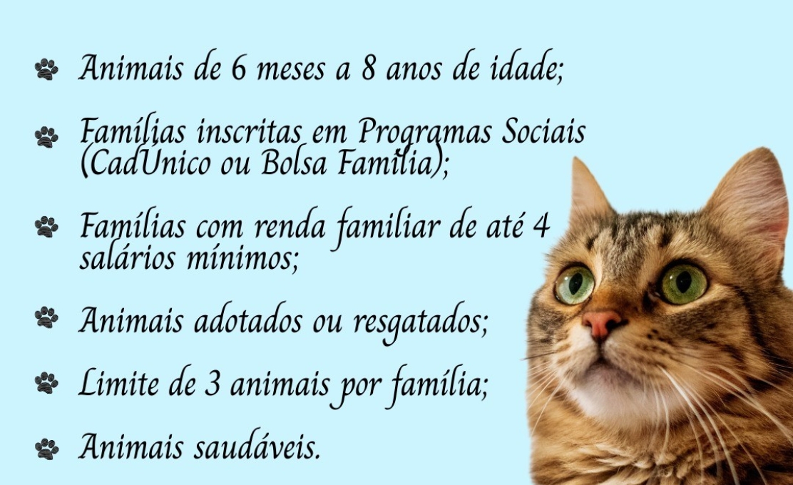 Inscrições Abertas: CastraPet Paraná – Castração Gratuita de Cães e Gatos